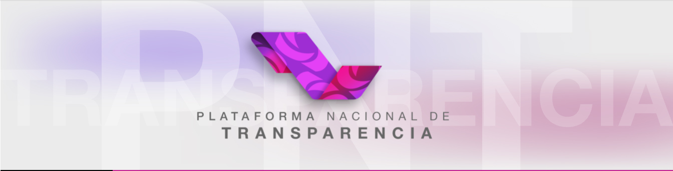 Plataforma Nacional de Transparencia(Preguntas Frecuentes)