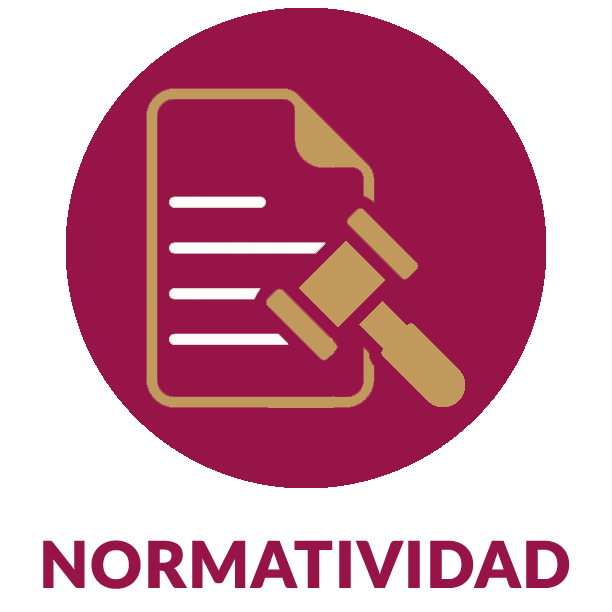 Descripción: Resultado de imagen de ICONO DE NORMATIVIDAD